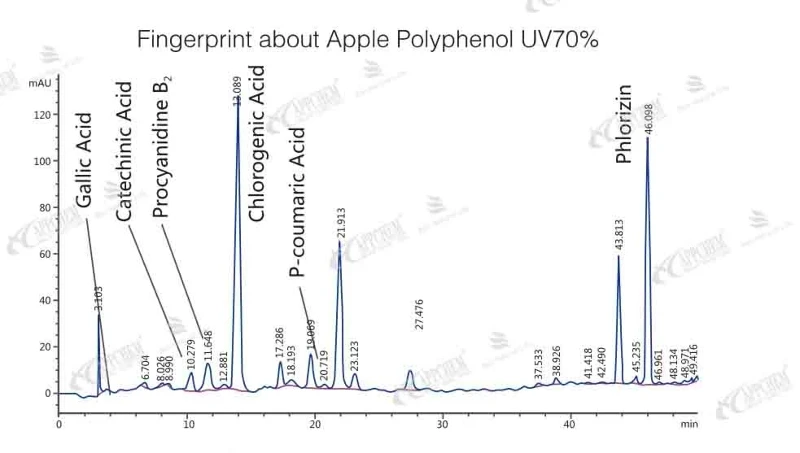 fingerprint fingerprint