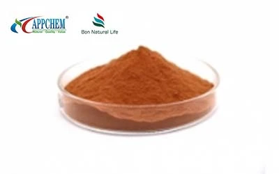 apple polyphenols