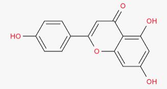 Apigenin powder Apigenin powder