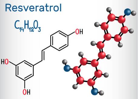 Pure Resveratrol Powder Pure Resveratrol Powder