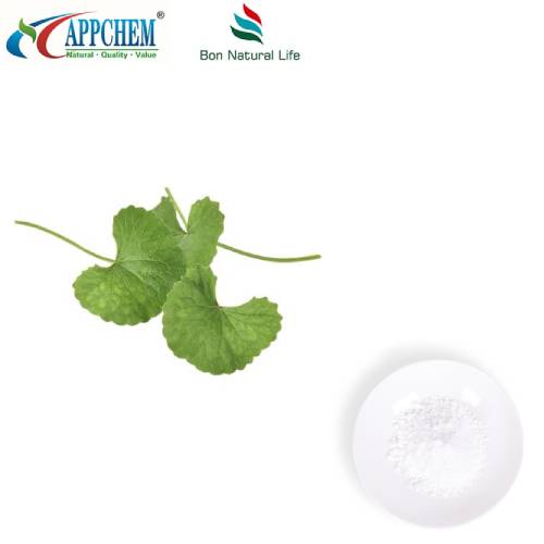 Ekstrakt Centella Asiatica u prahu