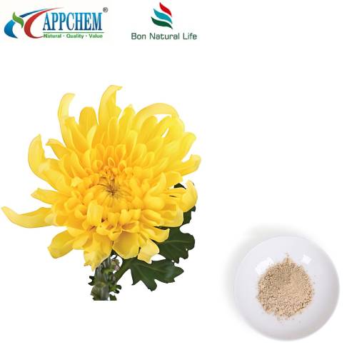 Flos Chrysanthemi Extract Powder