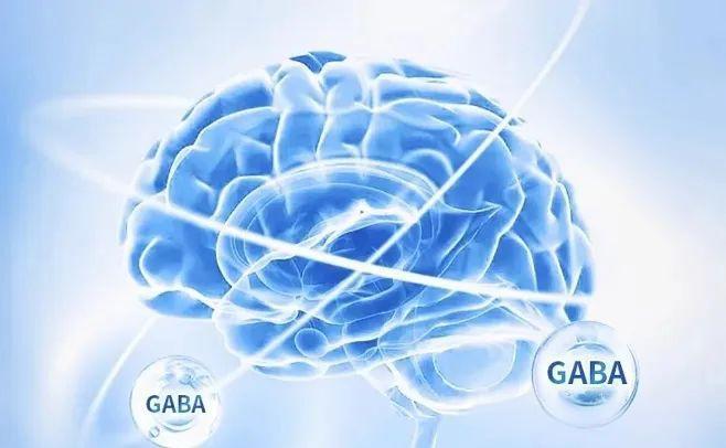 GABA1 GABA1