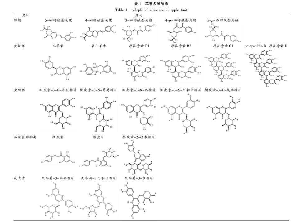 info-1-1 info-1-1