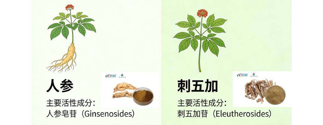 product active compounds product active compounds