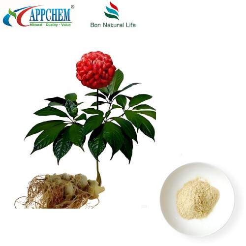Ekstrakt korena notoginseng