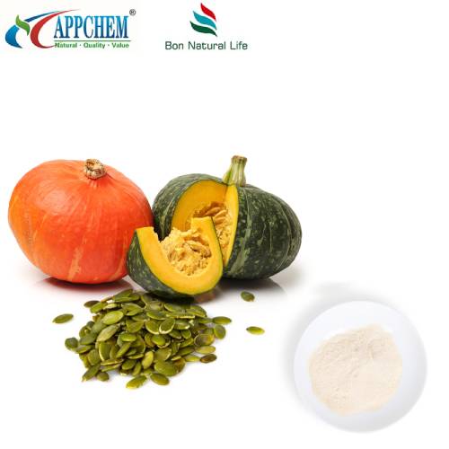 Pure Pumpkin Protein Powder