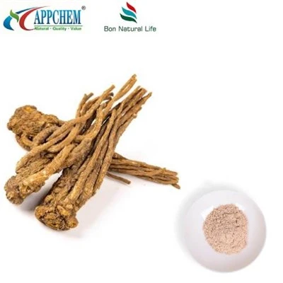 Angelica Sinensis ekstrakt u prahu