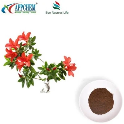 Ekstrakt lista Dahurian Rhodoendron