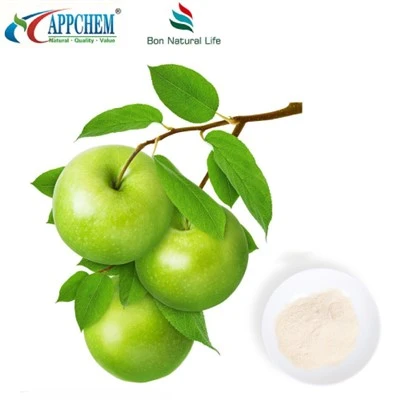 HPLC90% floretin prah COA TDS