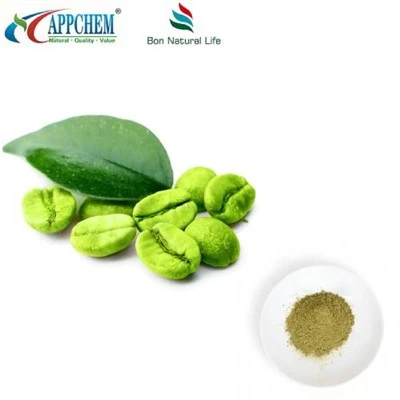Pure Green Coffee Bean Powder