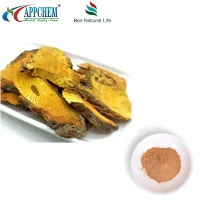 Resveratrol Polygonum Cuspidatum u prahu