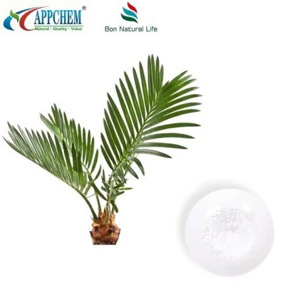 Prašak ekstrakta Saw Palmetto