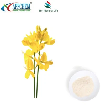 Termopsis LanceOlata r.br ekstrakt; Citizin HPLC98% puder 485-35-8